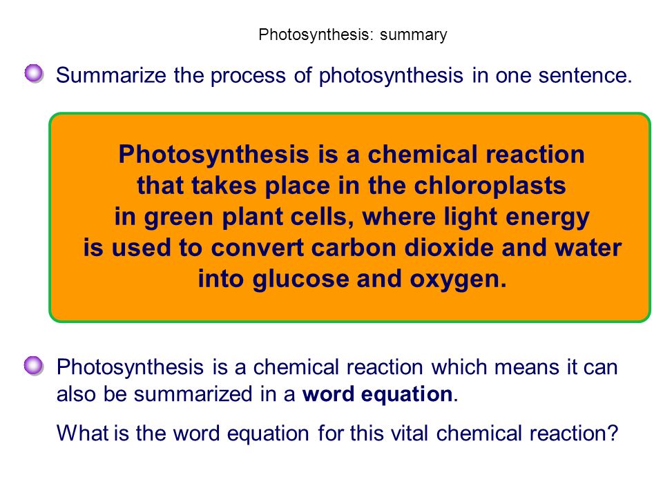 What Is The Word Equation For Photosynthesis Ks3 Jennarocca And Things That Plants Get Up To Ppt Download