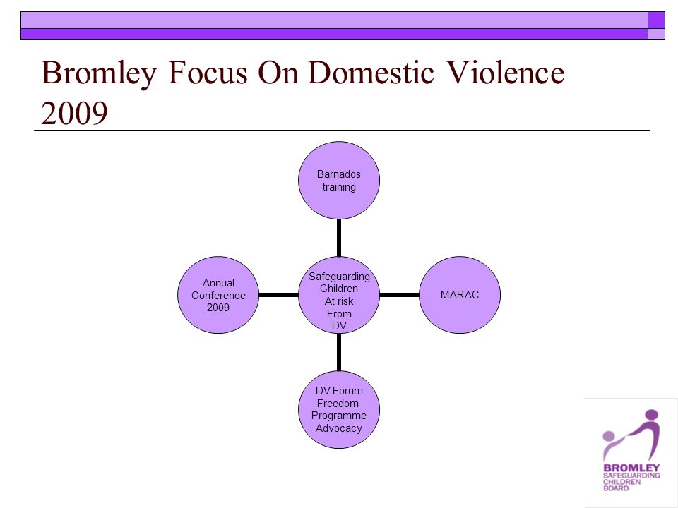 Bromley Focus On Domestic Violence 2009 Safeguarding Children At risk From DV Barnados training MARAC DV Forum Freedom Programme Advocacy Annual Conference 2009