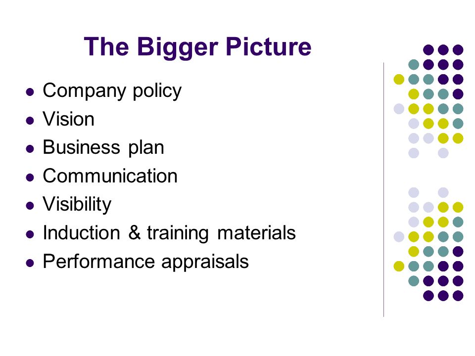 The Bigger Picture Company policy Vision Business plan Communication Visibility Induction & training materials Performance appraisals