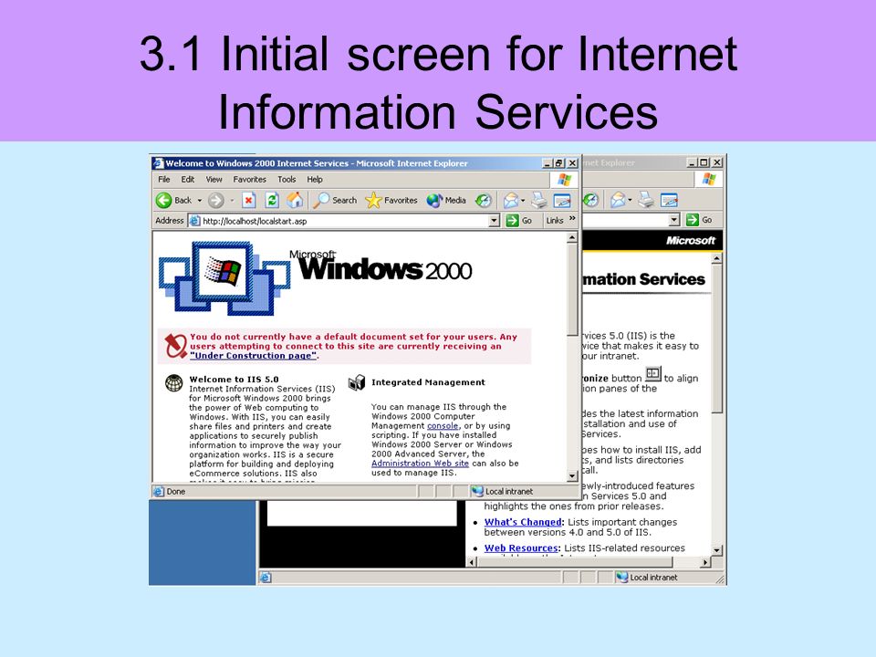 3.1 Initial screen for Internet Information Services