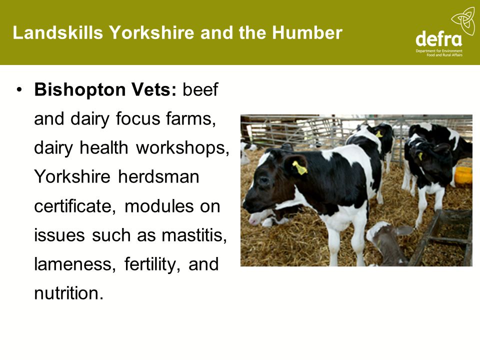 Landskills Yorkshire and the Humber Bishopton Vets: beef and dairy focus farms, dairy health workshops, Yorkshire herdsman certificate, modules on issues such as mastitis, lameness, fertility, and nutrition.