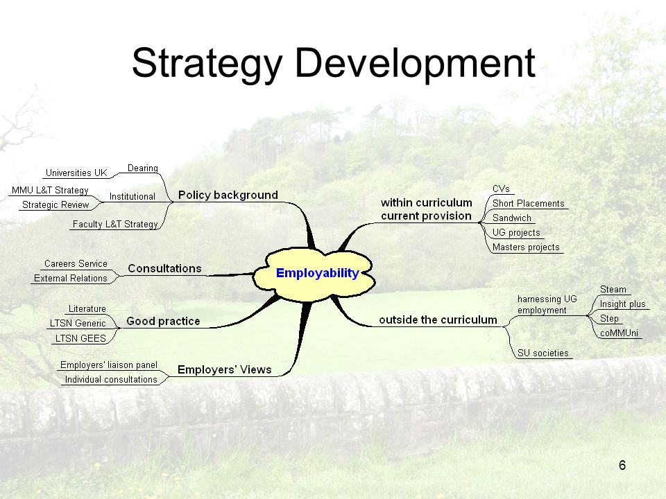 6 Strategy Development