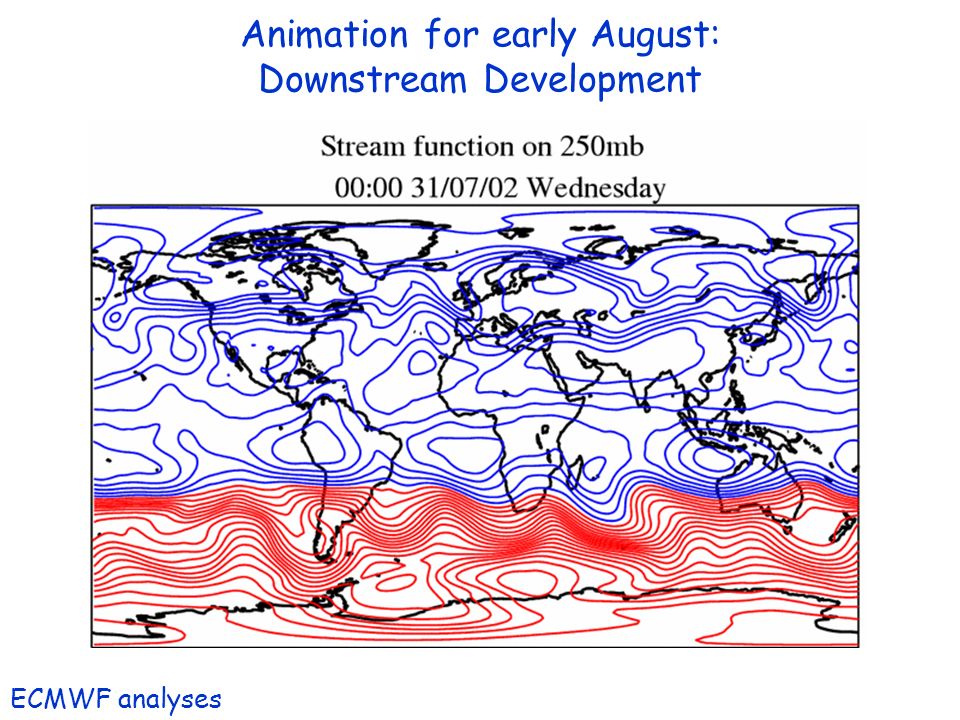 Animation for early August: Downstream Development ECMWF analyses
