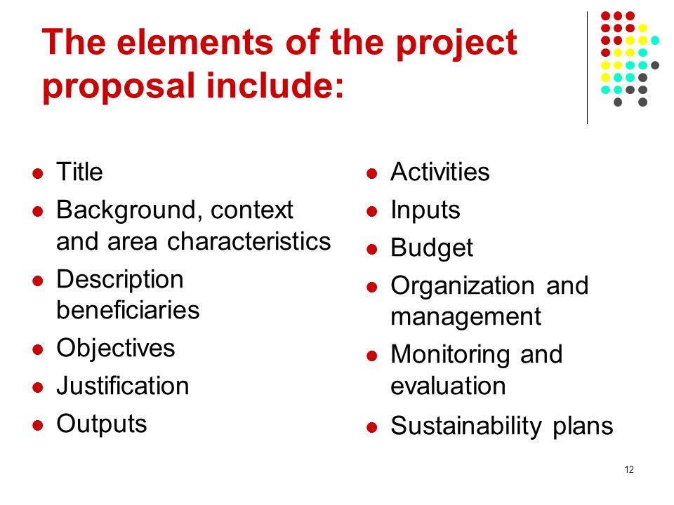 12 The elements of the project proposal include: Title Background, context and area characteristics Description beneficiaries Objectives Justification Outputs Activities Inputs Budget Organization and management Monitoring and evaluation Sustainability plans
