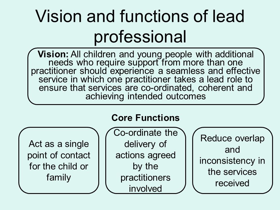 Vision and functions of lead professional Core Functions Vision: All children and young people with additional needs who require support from more than one practitioner should experience a seamless and effective service in which one practitioner takes a lead role to ensure that services are co-ordinated, coherent and achieving intended outcomes Reduce overlap and inconsistency in the services received Act as a single point of contact for the child or family Co-ordinate the delivery of actions agreed by the practitioners involved