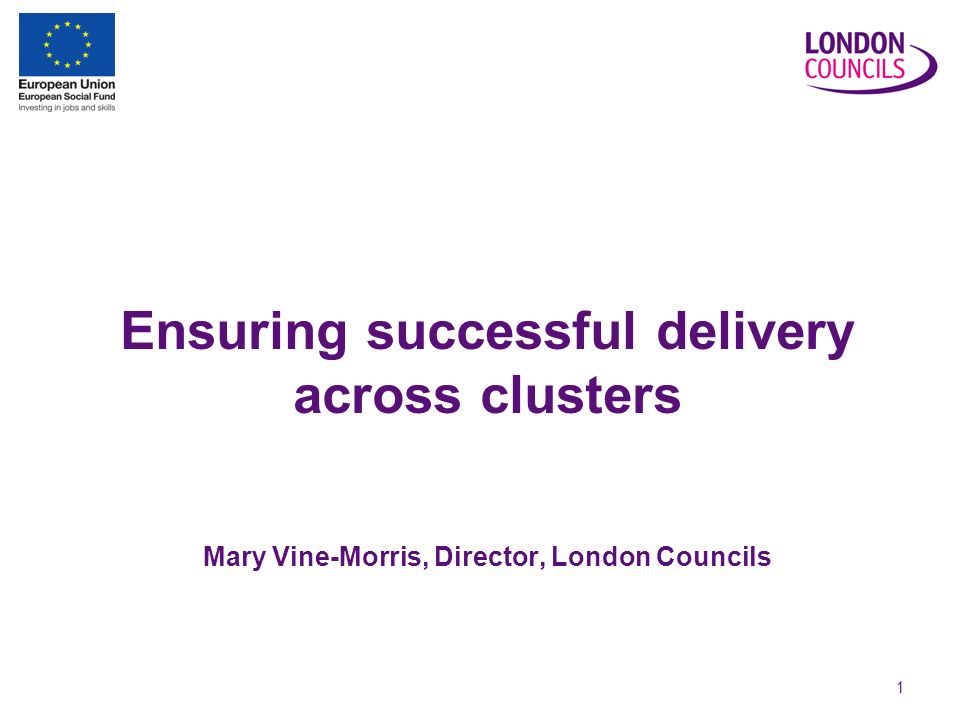1 Ensuring successful delivery across clusters Mary Vine-Morris, Director, London Councils