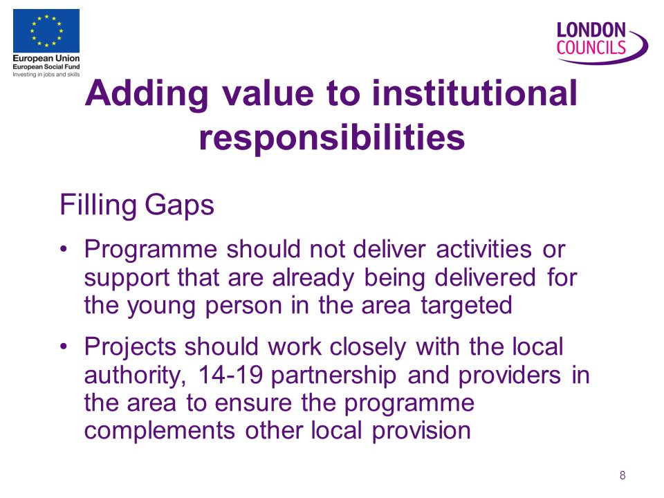 8 Adding value to institutional responsibilities Filling Gaps Programme should not deliver activities or support that are already being delivered for the young person in the area targeted Projects should work closely with the local authority, partnership and providers in the area to ensure the programme complements other local provision