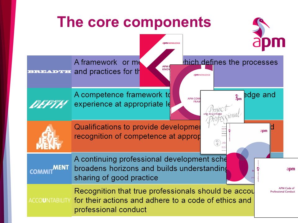 The core components A framework or methodology which defines the processes and practices for the organisation A competence framework to map levels of knowledge and experience at appropriate levels Qualifications to provide developmental opportunities and recognition of competence at appropriate levels A continuing professional development scheme that broadens horizons and builds understanding through sharing of good practice Recognition that true professionals should be accountable for their actions and adhere to a code of ethics and professional conduct