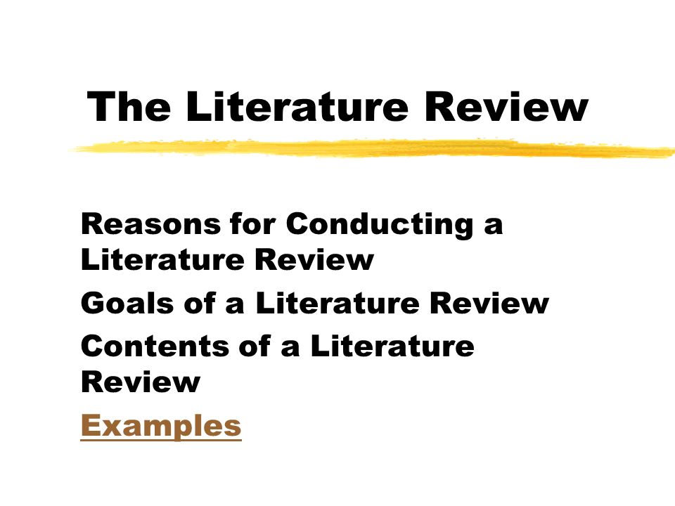 Example Of A Literature Review Essay
