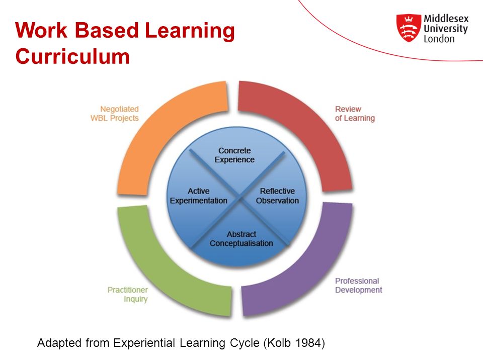Work Based Learning Curriculum Adapted from Experiential Learning Cycle (Kolb 1984)
