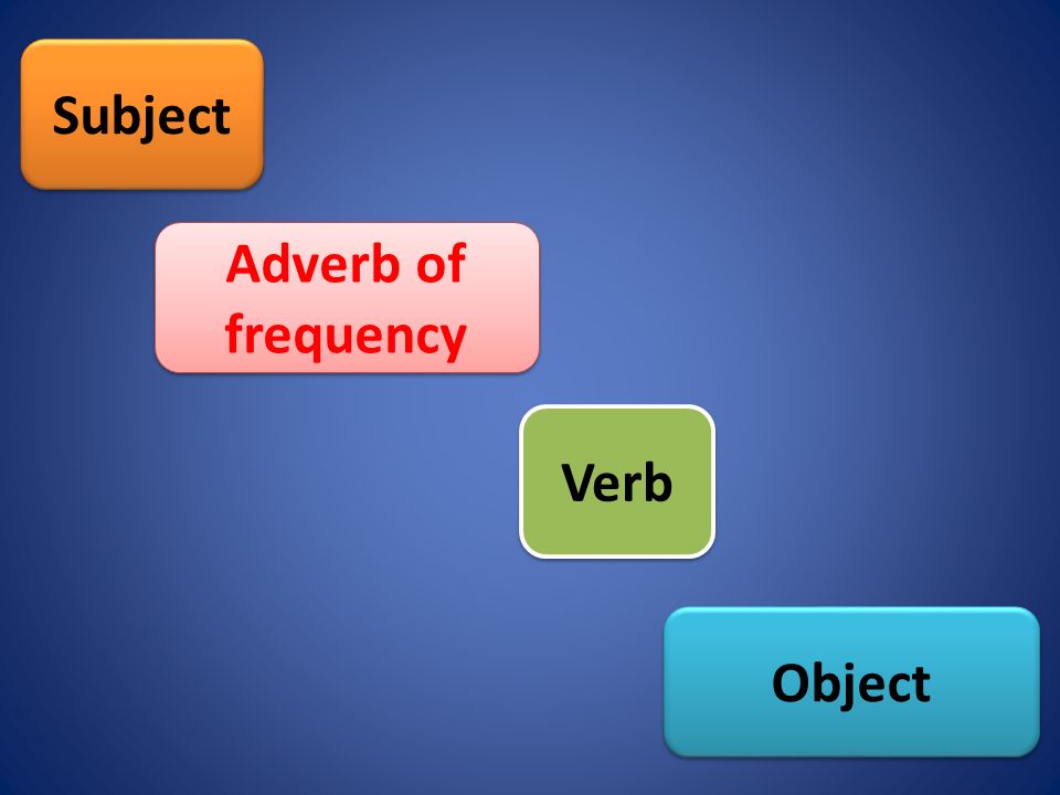 Subject Adverb of frequency Object Verb