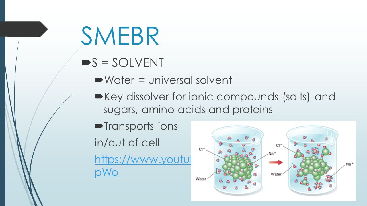 worksheet Molecules Of Life Worksheet learning goal important molecules to life carbohydrates 2 smebr