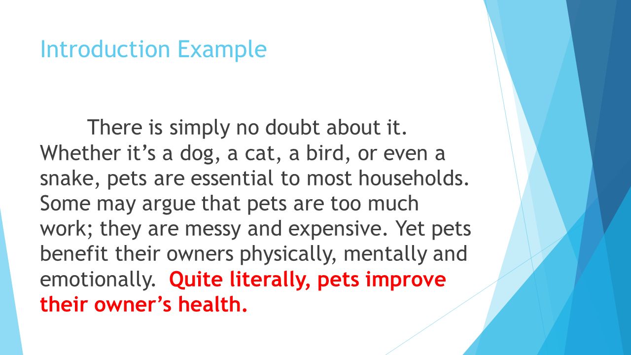 dogs and cats compare and contrast essay