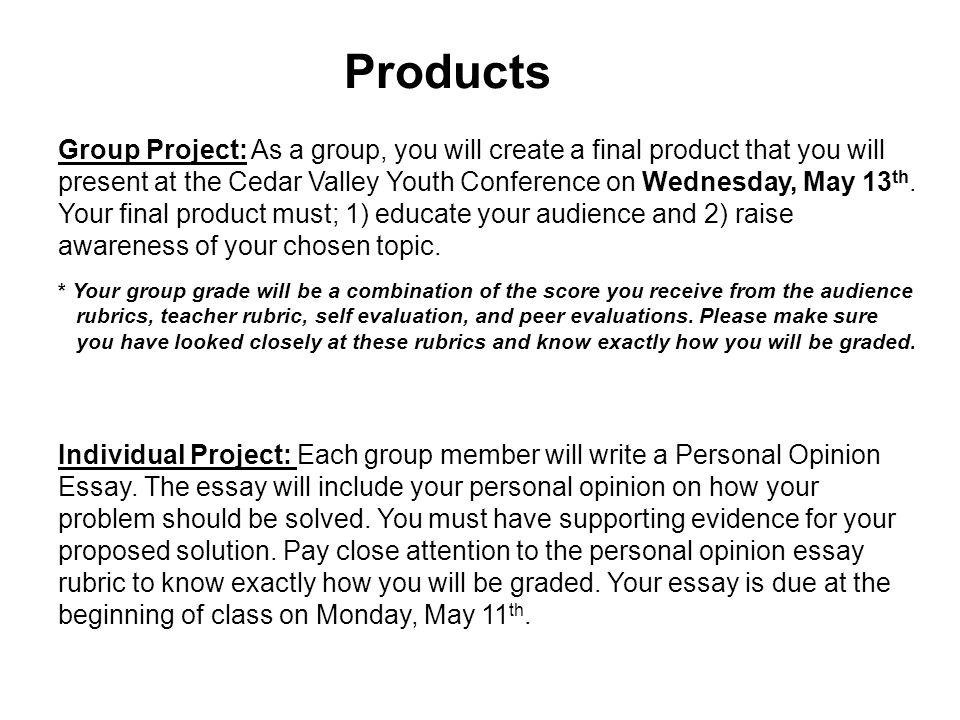 Personal Opinion Essay