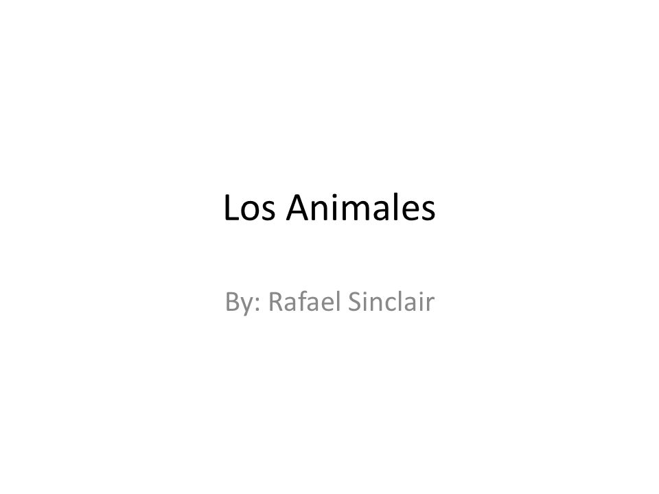 Los Animales By: Rafael Sinclair