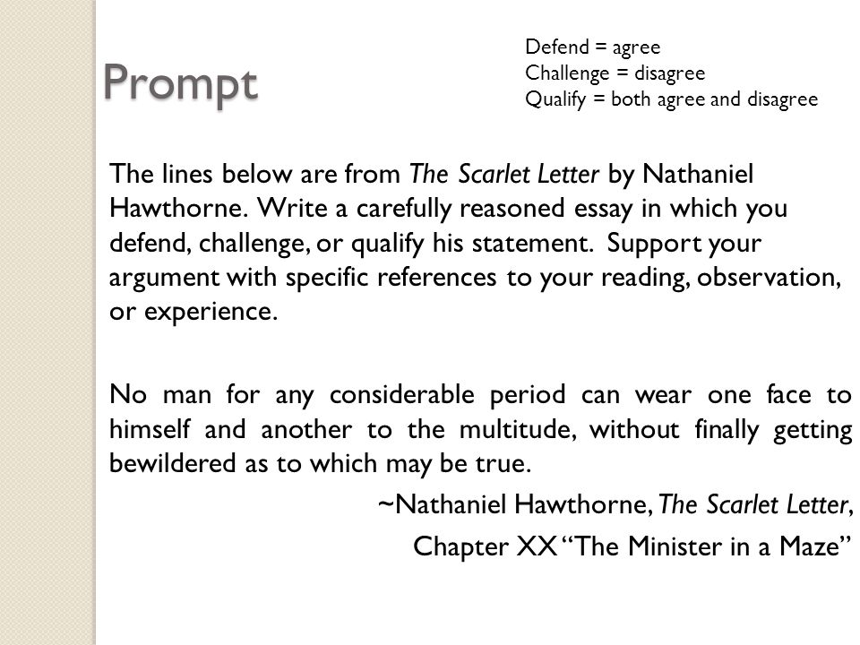 Nathaniel Hawthorne Essay