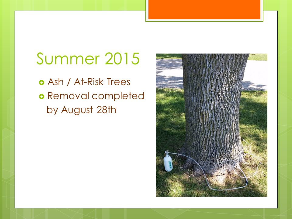Summer 2015  Ash / At-Risk Trees  Removal completed by August 28th