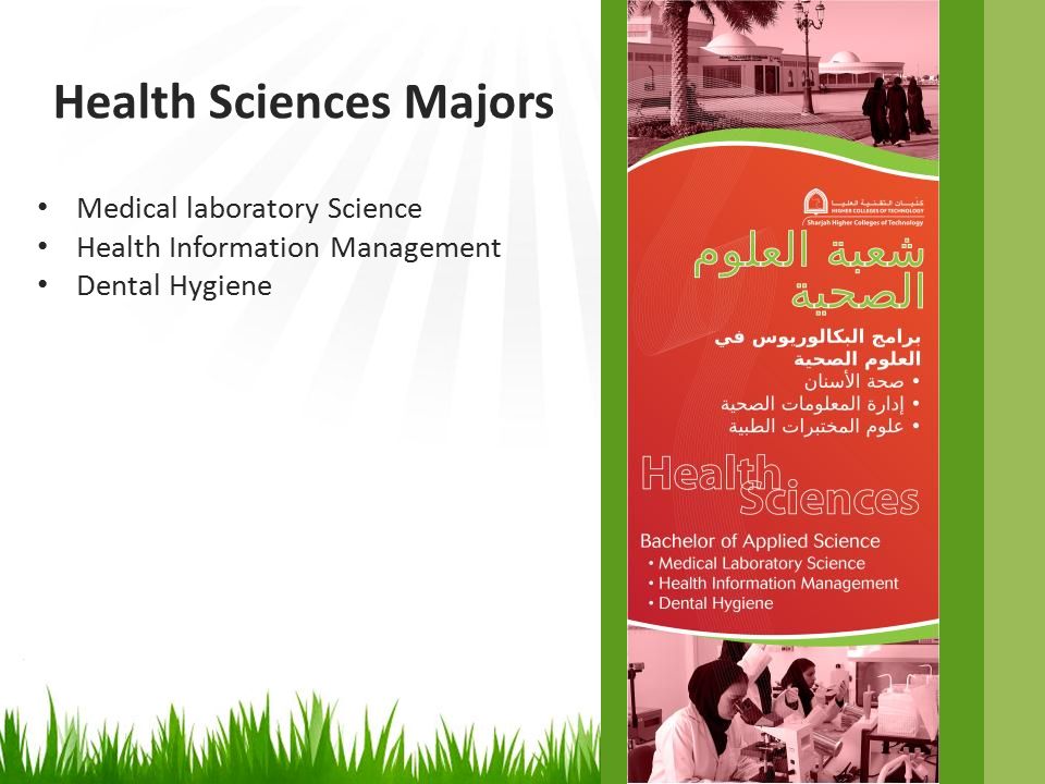 Medical laboratory Science Health Information Management Dental Hygiene Health Sciences Majors