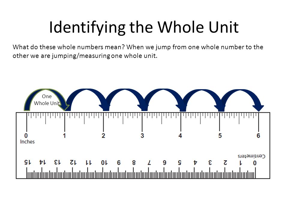 real scale ruler