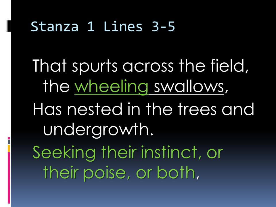 Stanza 1 Lines 3-5 That spurts across the field, the wheeling swallows, Has nested in the trees and undergrowth.