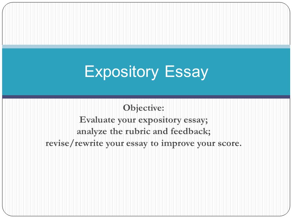 essay writing for elementary students.jpg