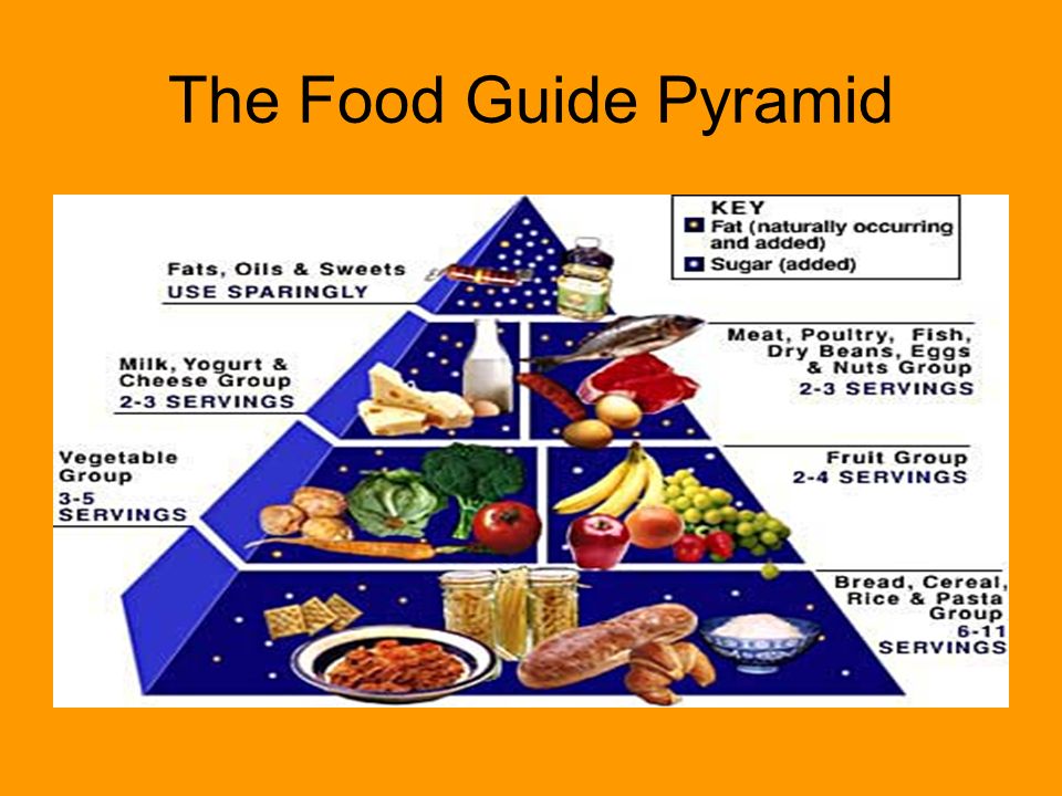 Worksheets Food Pyramid Guide the food pyramid in your life guide ppt pyramid