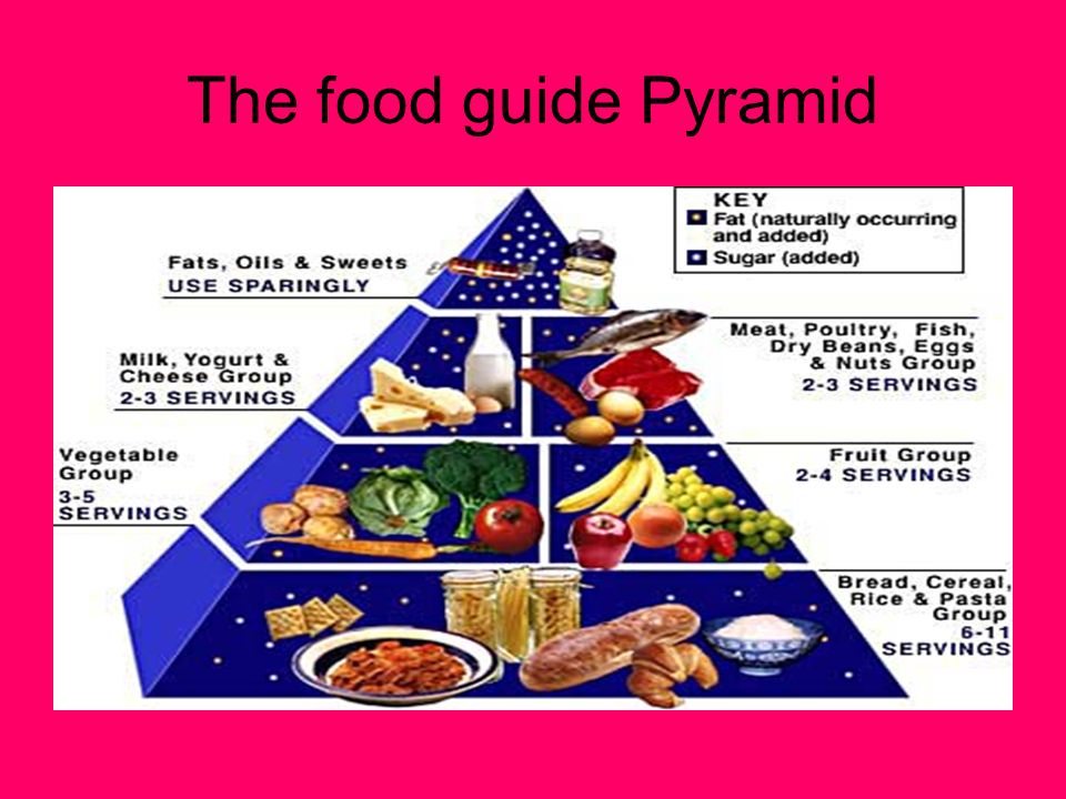 Worksheets Food Pyramid Guide the food pyramid in your life guide ppt 6 pyramid