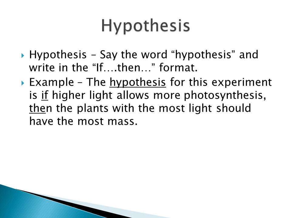 best term paper writing help at ap format essay persuasive essay ap format example