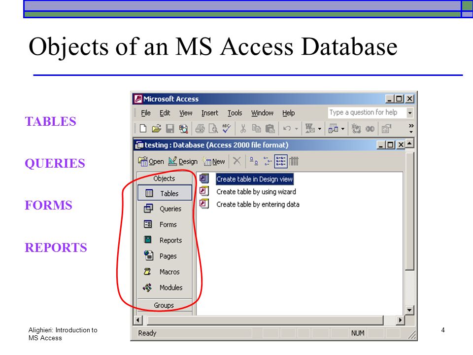 ms access themes download