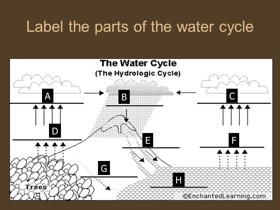 Label the parts of the water cycle B AC D F G H E B