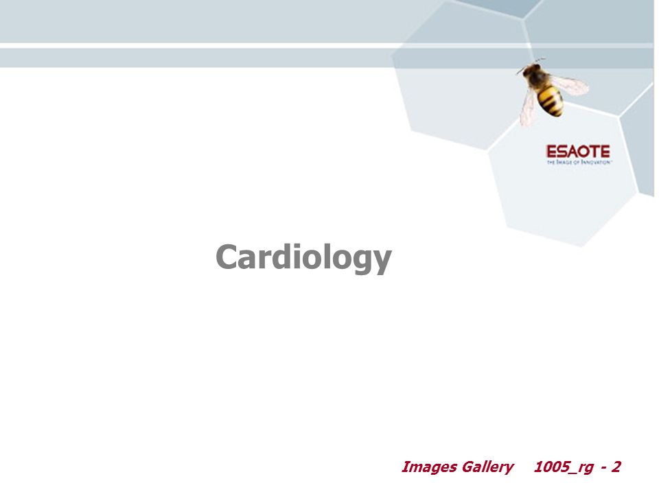 Images Gallery1005_rg - 2 Cardiology