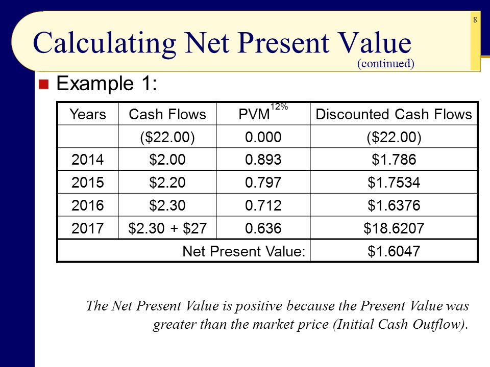 net present value and net cash net present value and net cash