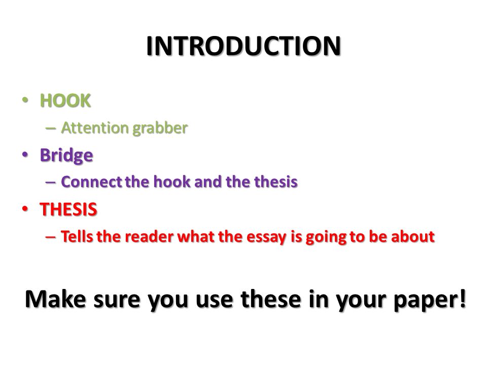 essay hook essay hook