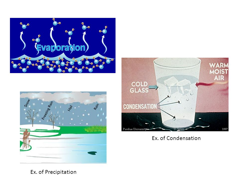 Ex. of Condensation Ex. of Precipitation