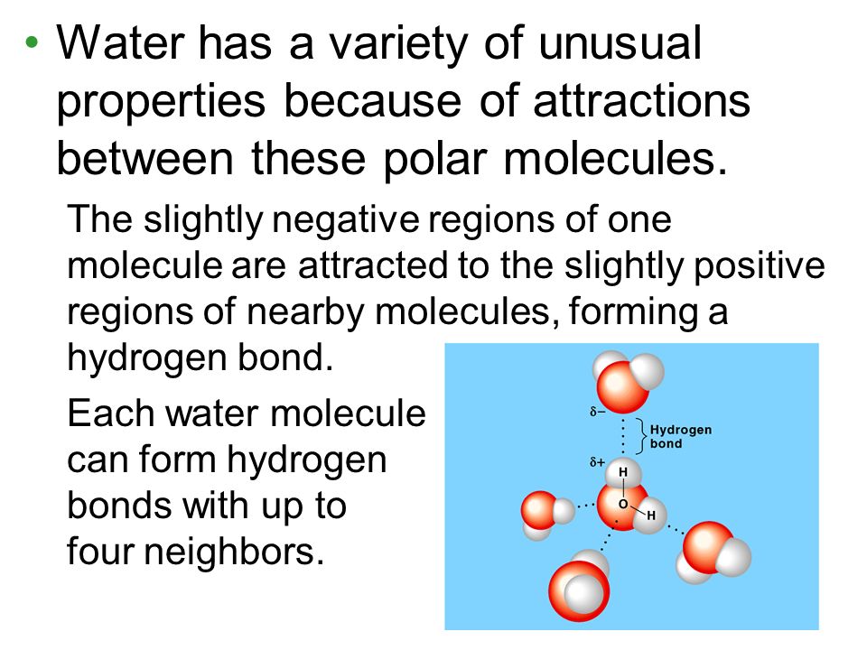 properties of water polar molecule hydrogen bonding surface tension which molecules can form hydrogen bonds