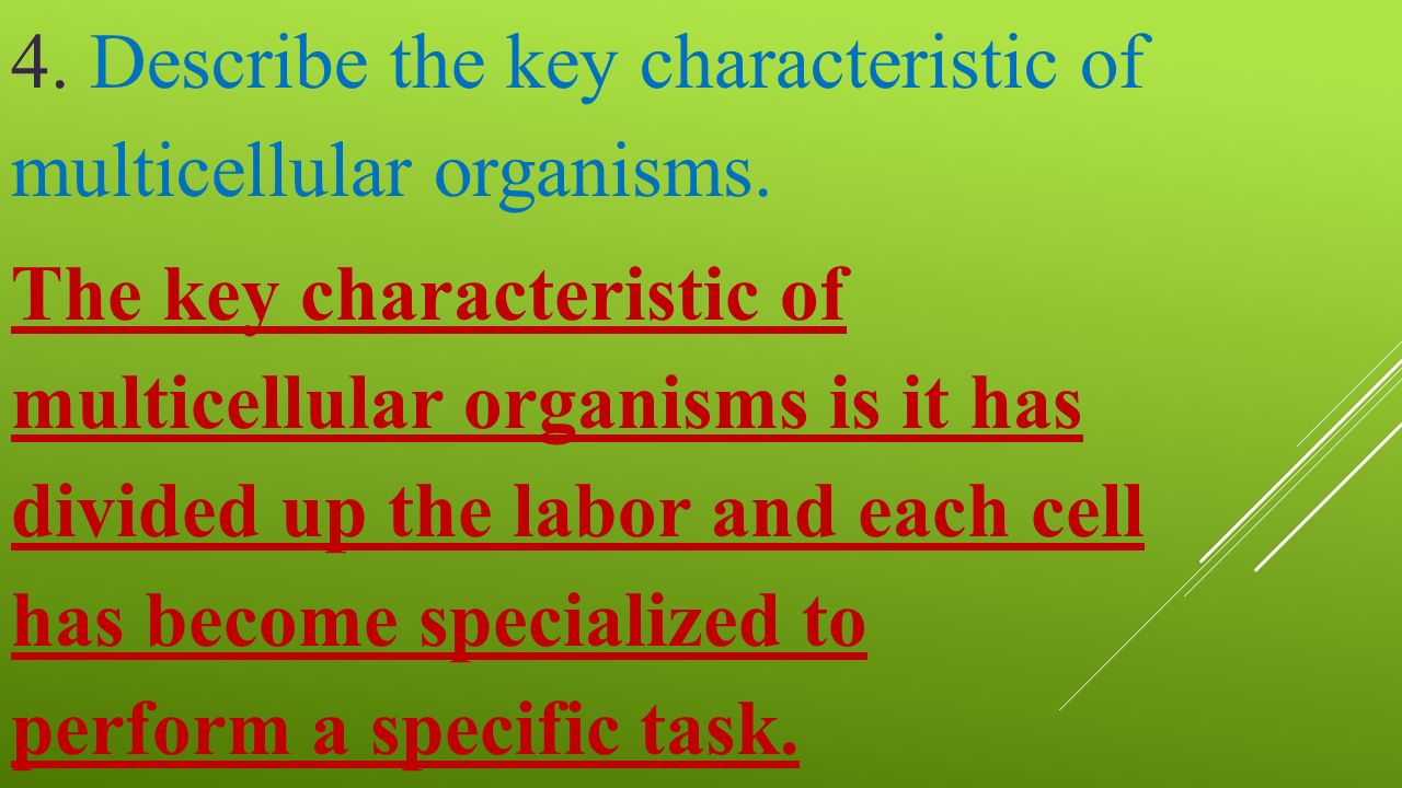 organismal biology study guide Organismal biology emphasizes studying biology at the level of the entire organism but without neglecting studying biology below and above the organismal level. organismal biology study guide Organismal biology emphasizes studying biology at the level of the entire organism but without neglecting studying biology below and above the organismal level.