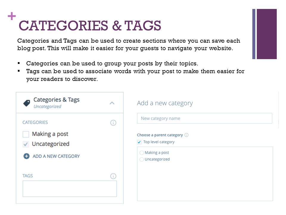 + CATEGORIES & TAGS Categories and Tags can be used to create sections where you can save each blog post.