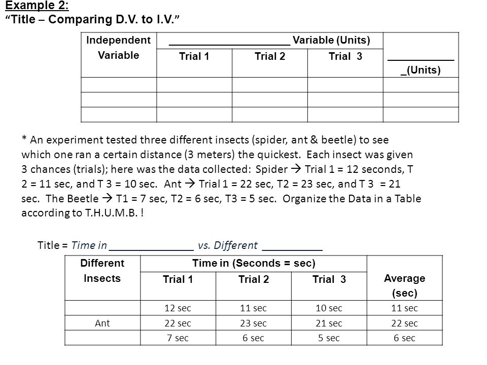 how to make a data table
