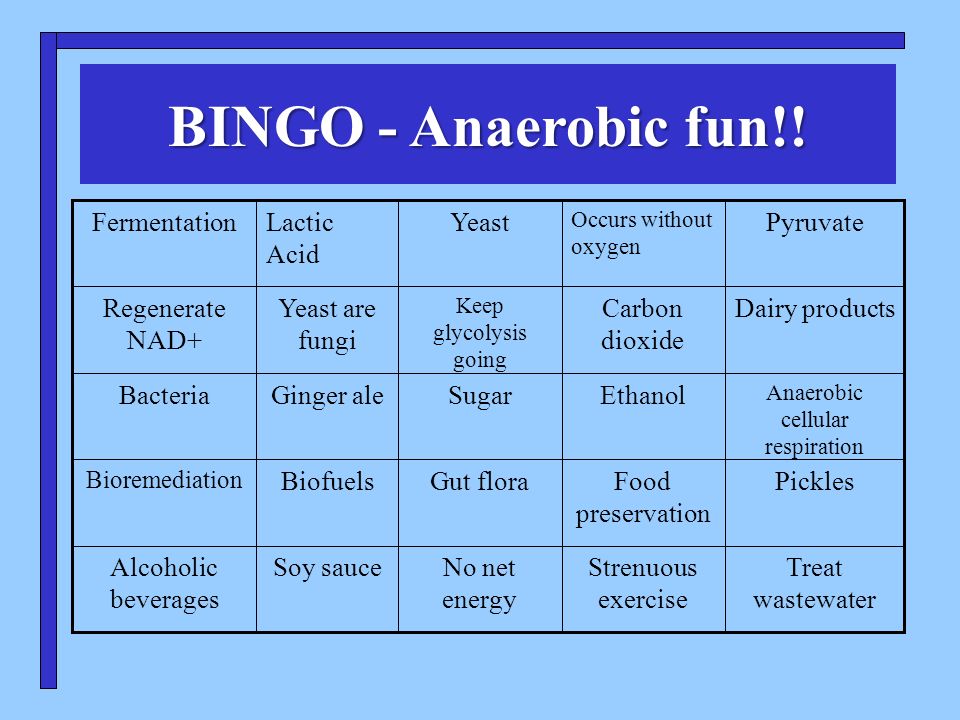 bingo powerpoint template