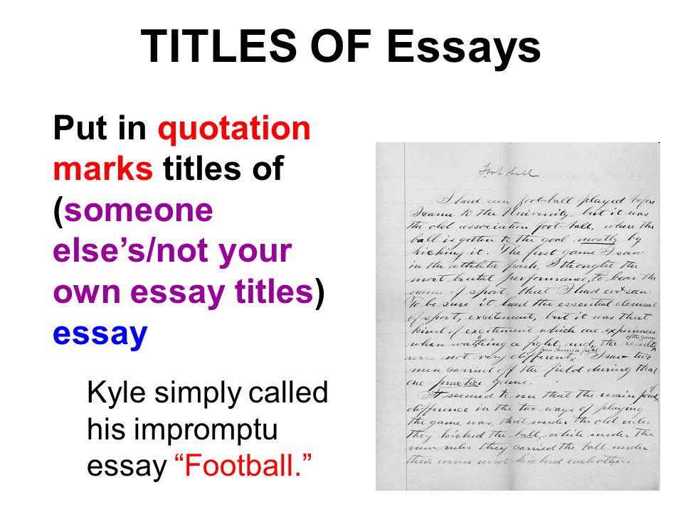 the tittle essay the tittle essay