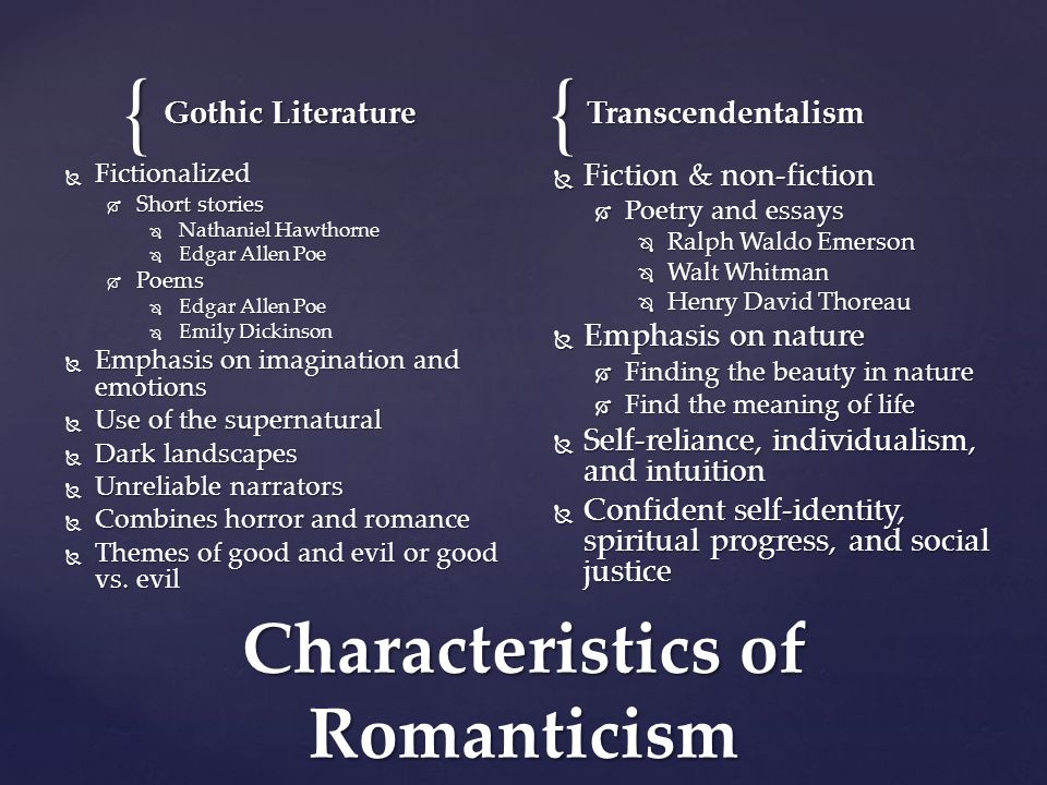 gothic literature the black cat by gothic literature the black cat by