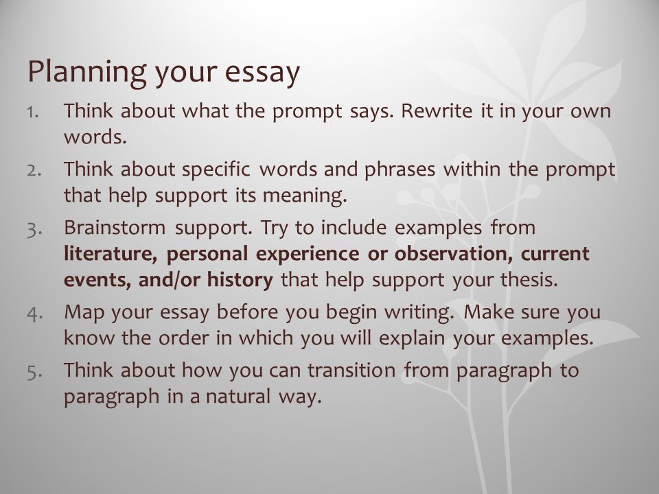 writing a essay plan writing a essay plan