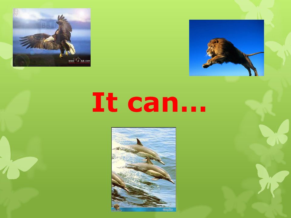It can…