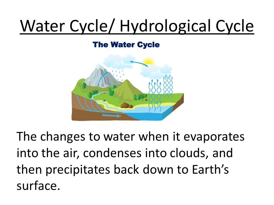 Water Cycle/ Hydrological Cycle The changes to water when it evaporates into the air, condenses into clouds, and then precipitates back down to Earth’s surface.