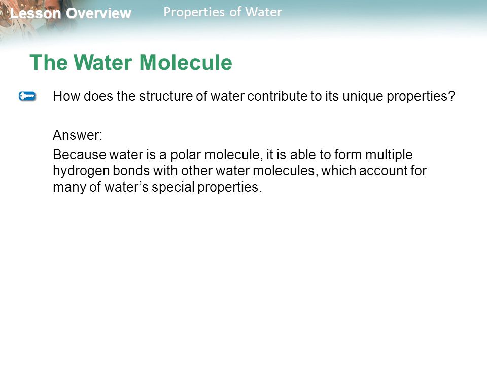 lesson overview lesson overview properties of water water h 2 0 the water molecules are able to form hydrogen bonds with