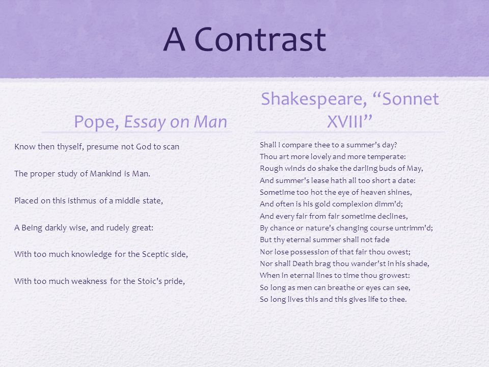 compare and contrast a good man is hard to find The short stories, a good man is hard to find by flannery o'conner and a rose for emily by william faulkner are rather horrifying one tale is about a grandmother and her family brutally murdered by a coldhearted killer, and the other tale is about a lady who murders her lover and then sleeps beside his rotting body. compare and contrast a good man is hard to find The short stories, a good man is hard to find by flannery o'conner and a rose for emily by william faulkner are rather horrifying one tale is about a grandmother and her family brutally murdered by a coldhearted killer, and the other tale is about a lady who murders her lover and then sleeps beside his rotting body.