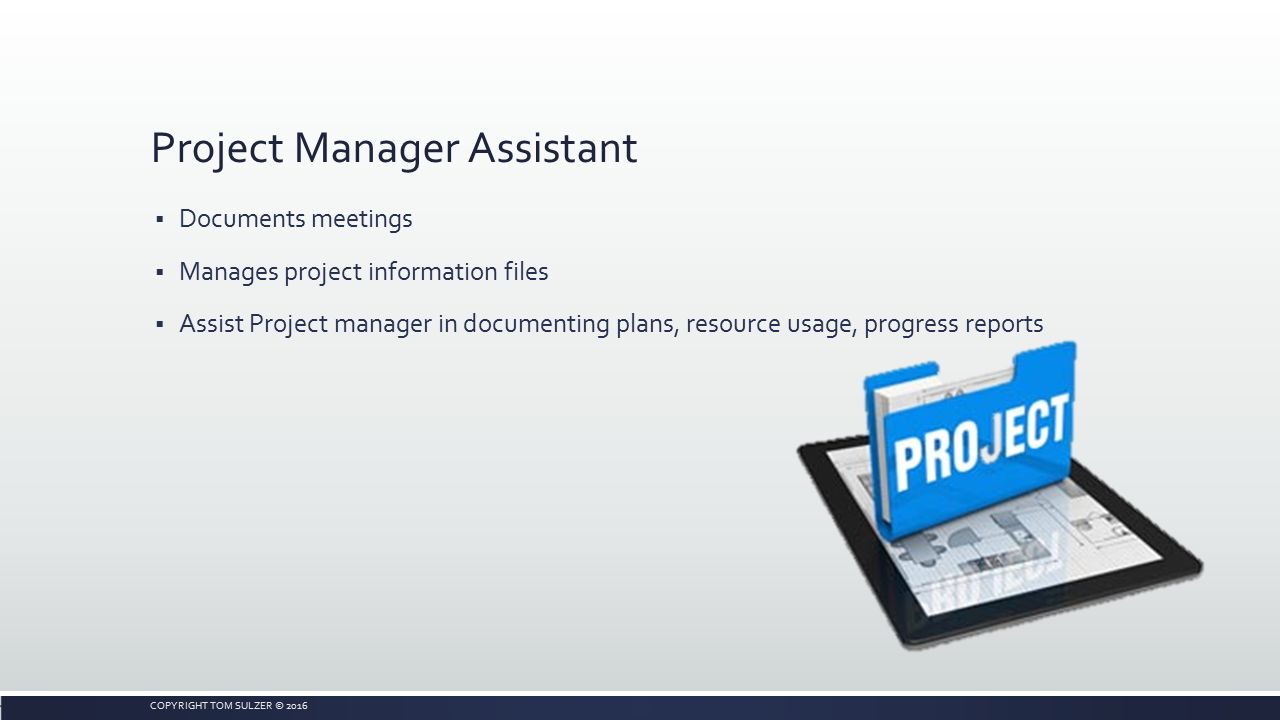 assistant project manager assistant project manager