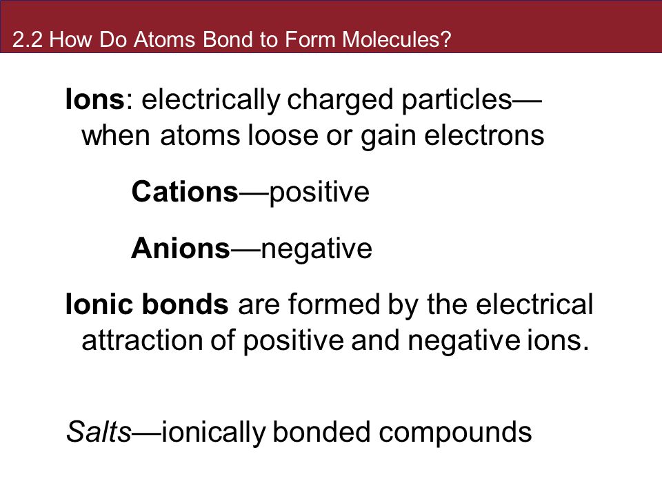 how atoms make up organic compounds which make up all living organisms addressing all three domains Free flashcards to help memorize facts about biology chapter 3 of organic compounds found in living systems with other atoms 1, 2, 3, and 4: what three. how atoms make up organic compounds which make up all living organisms addressing all three domains Free flashcards to help memorize facts about biology chapter 3 of organic compounds found in living systems with other atoms 1, 2, 3, and 4: what three.