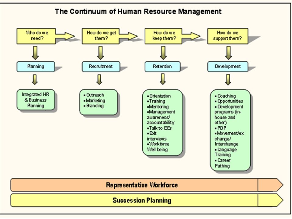 Hr Specialist Training Plan