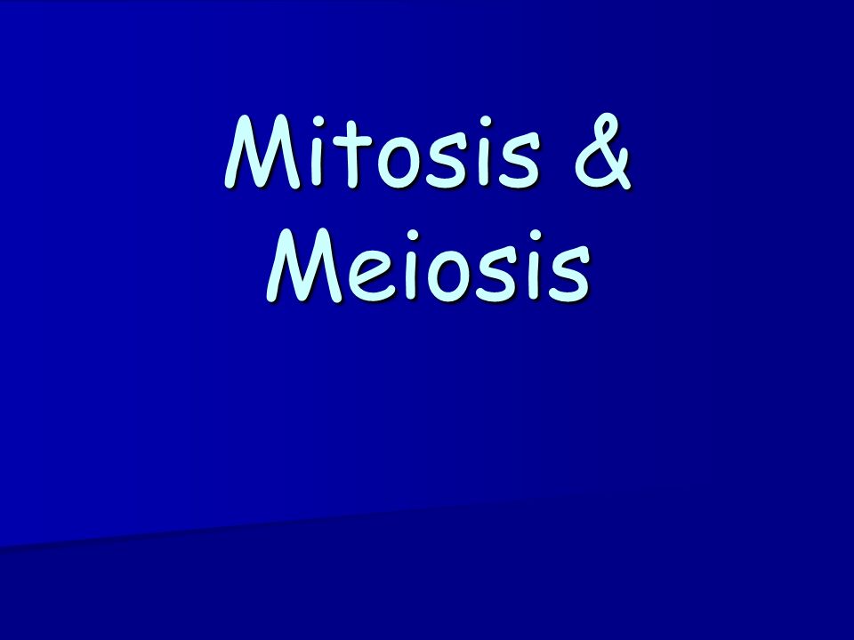 Mitosis & Meiosis